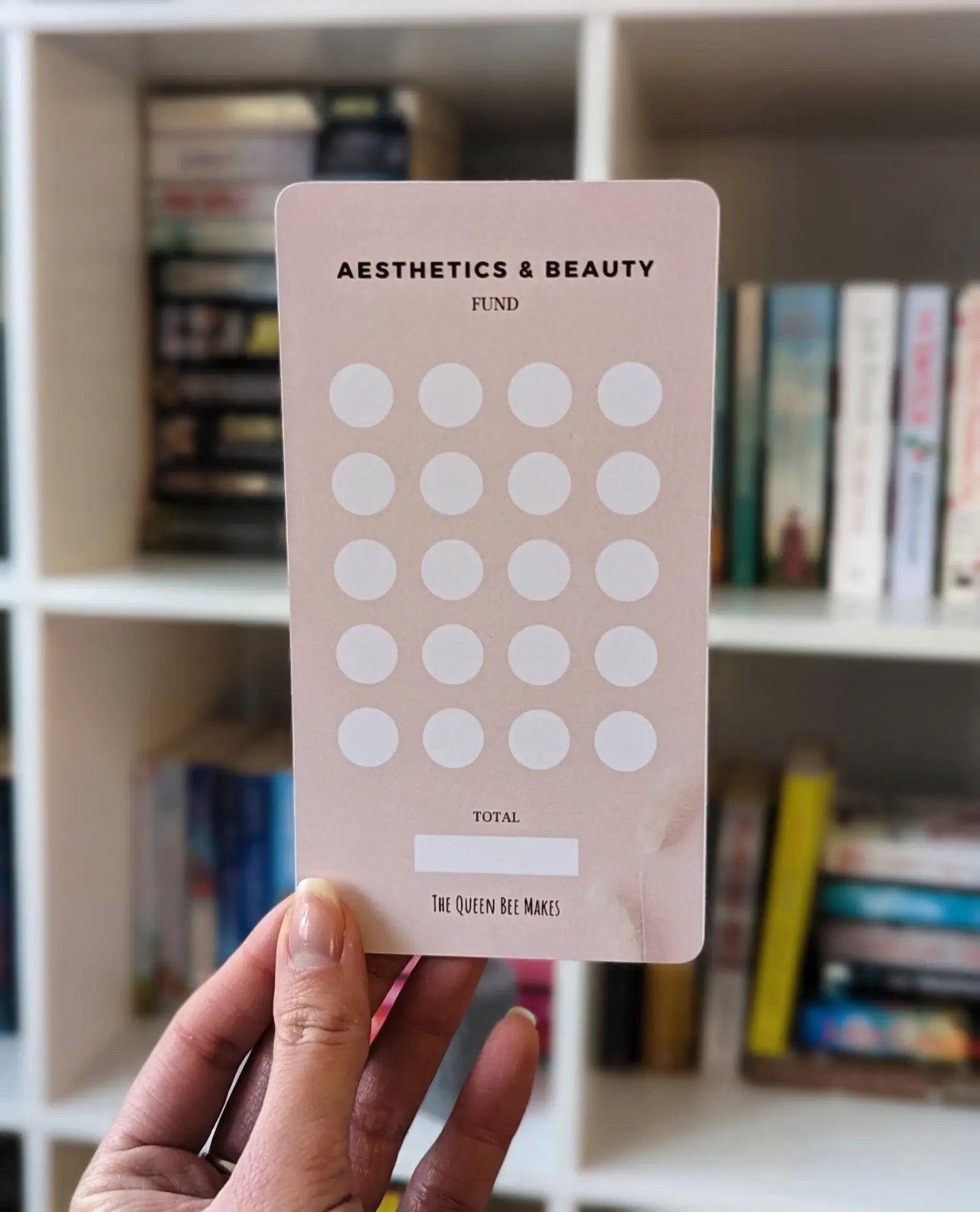 Aesthetics & Beauty Fund/ Money Saving Challenge