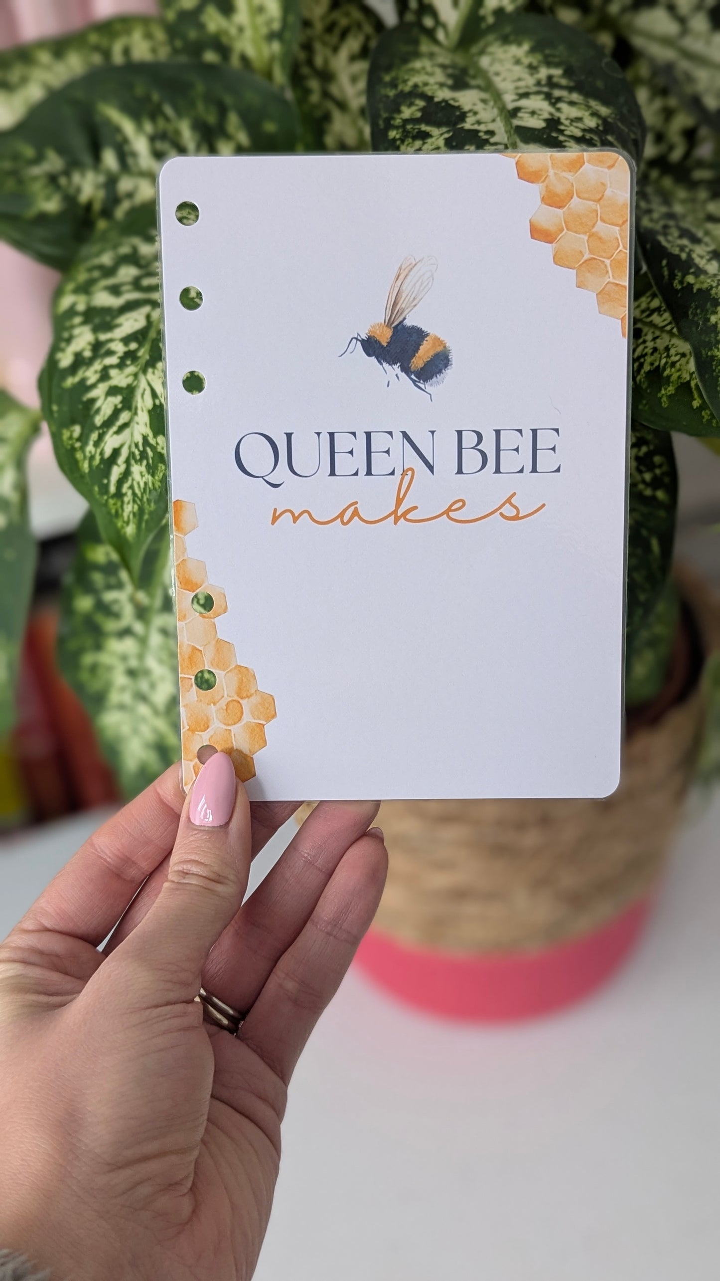 The Queen Bee Makes Dashboard Collection