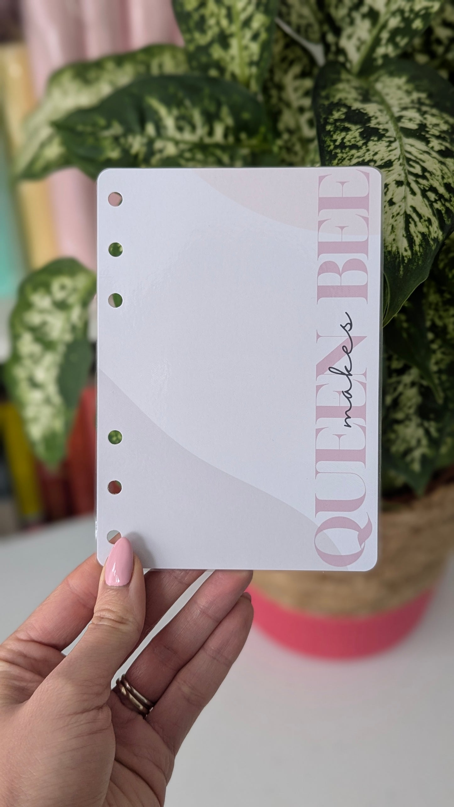 The Queen Bee Makes Dashboard Collection