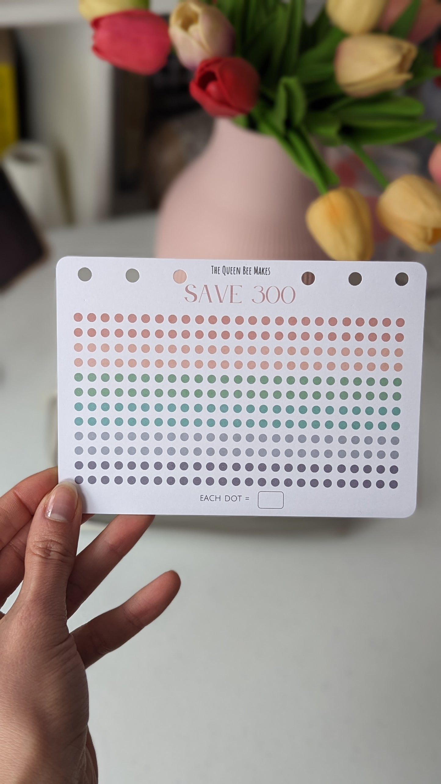 Save 300 / Money Saving Tracker