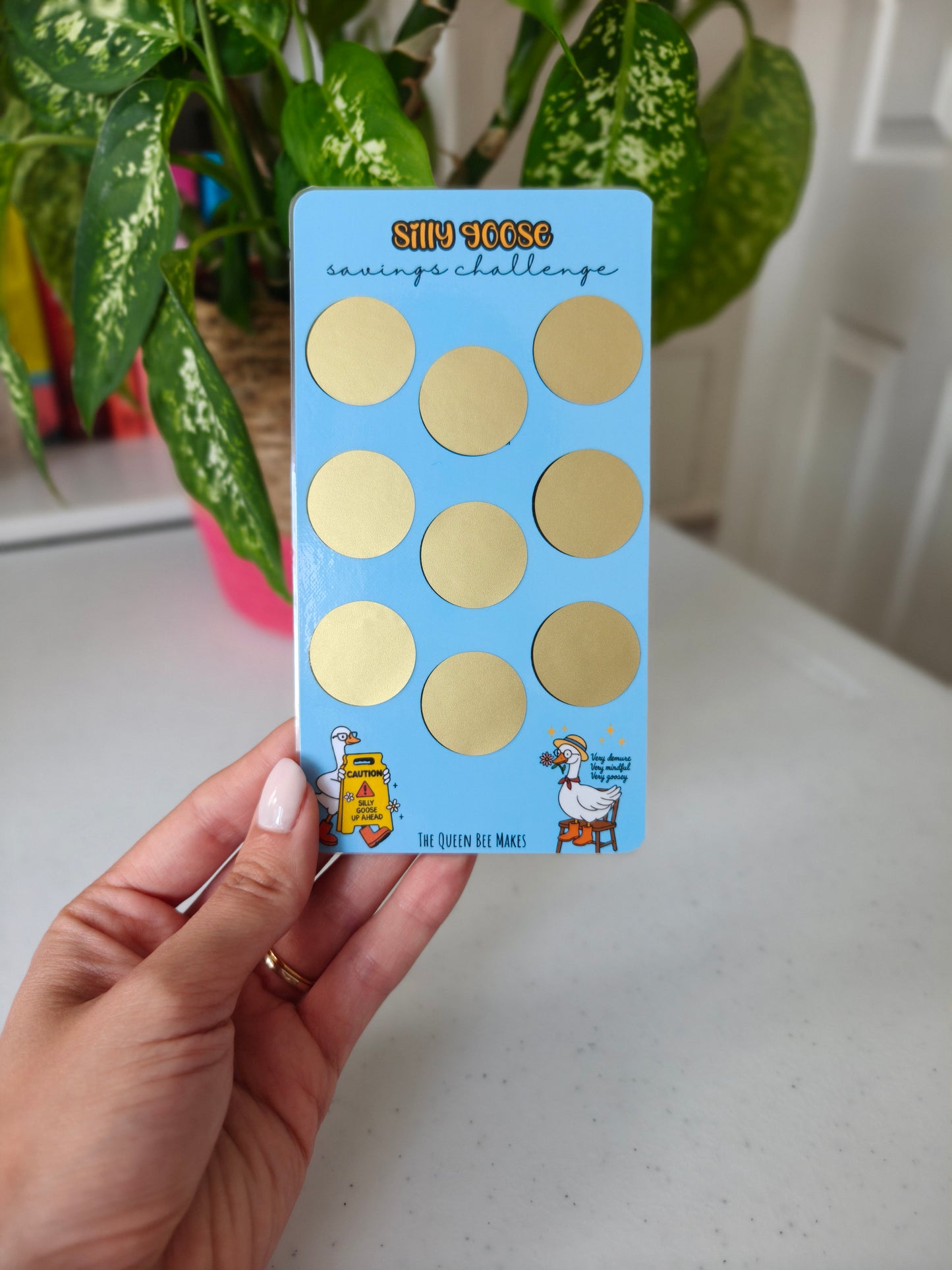Silly Goose Money Saving Challenge / Scratch Off Tracker