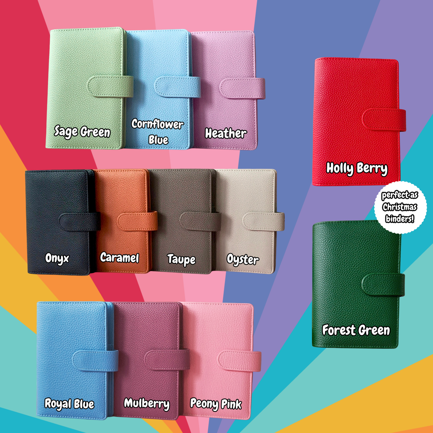 Luxury A6 Pebble Vegan Leather Budget Binder | 6-Ring Planner